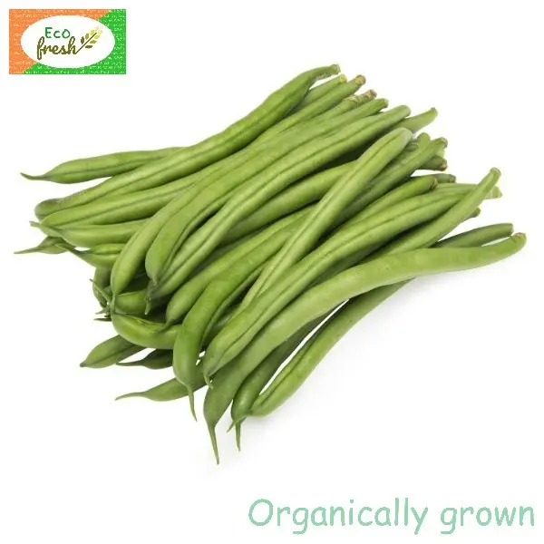 Beans French Organically Grown