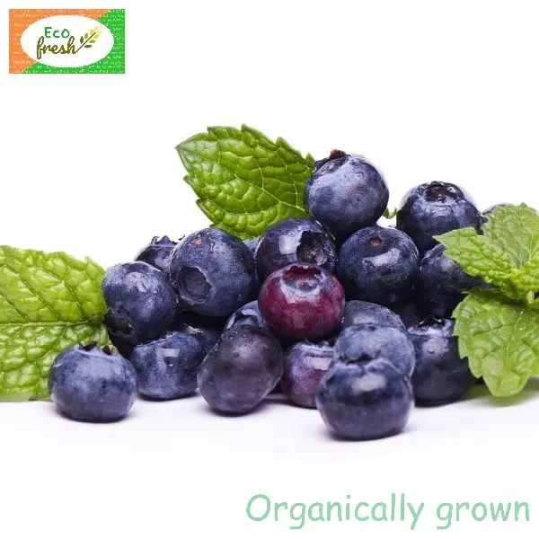 Blue Berry Organically Grown 