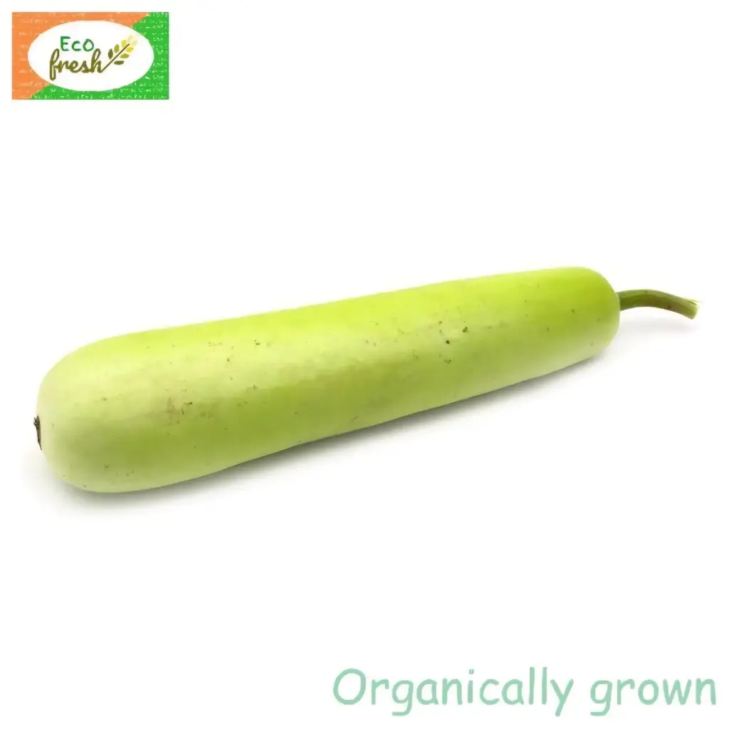 Bottle Gourd Organically Grown 