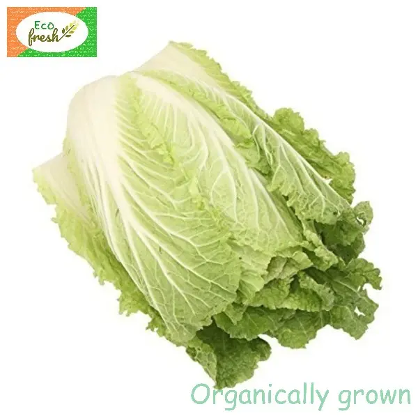 Cabbage Chinese Organically Grown 