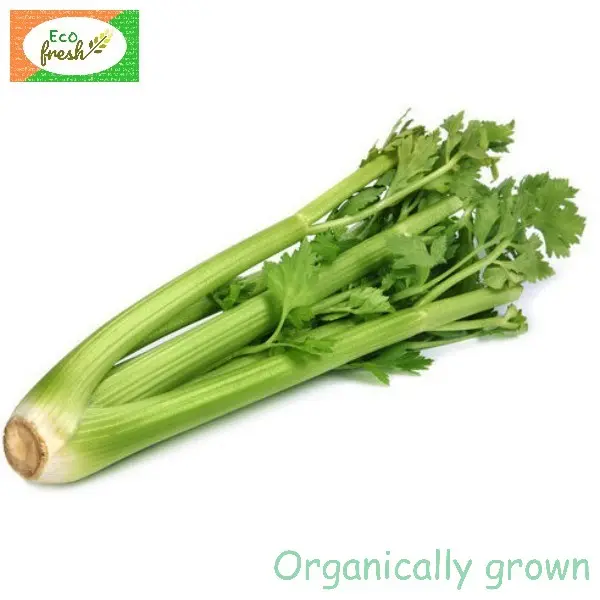 Celery Organically Grown 