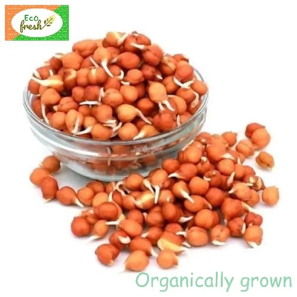 Channa Sprouts 
