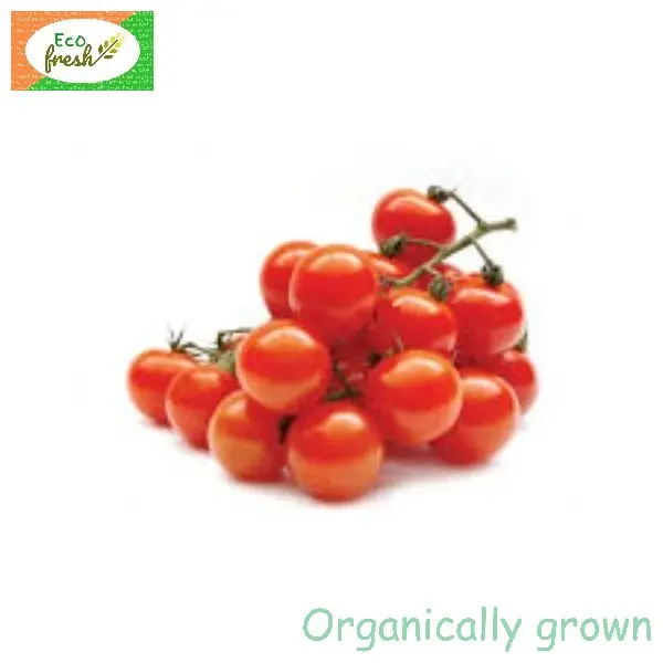 Cherry Tomato Organically Grown