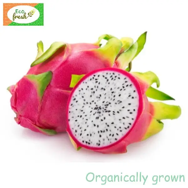 Dragonfruit White Organically Grown 