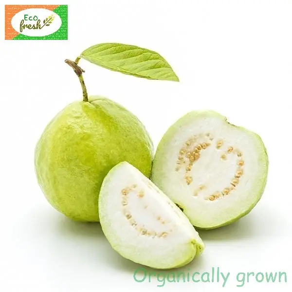 Guava Organically Grown 