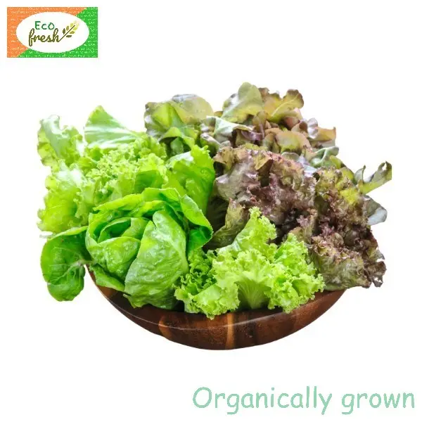 Lettuce Mix Organically Grown 