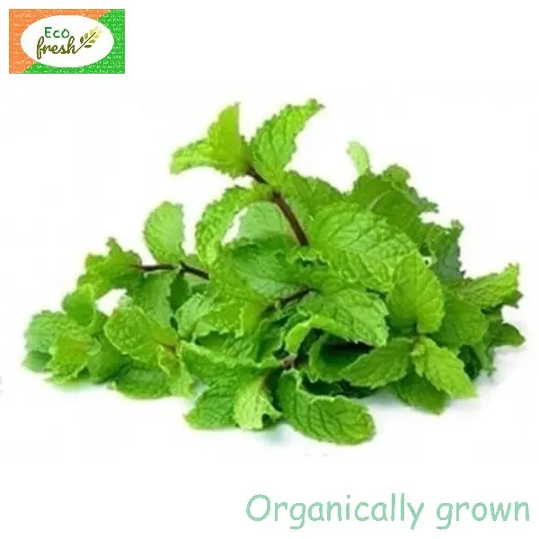 Mint Organically Grown 