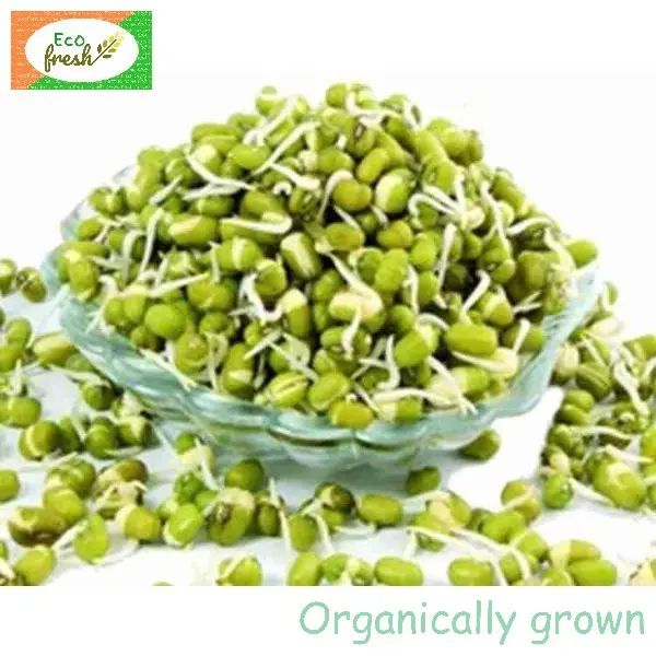 Moong Sprouts 