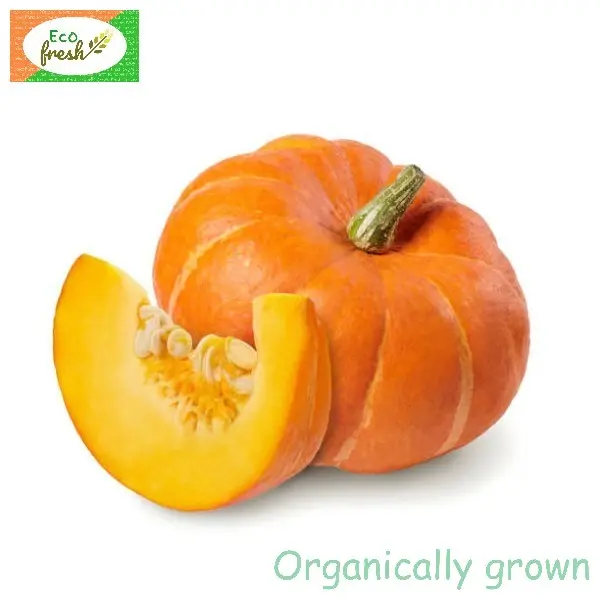 Pumpkin Organically Grown 