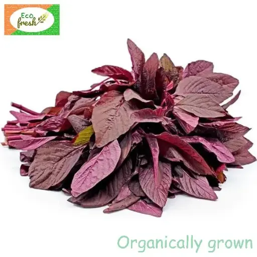 [Leafy Vegeatables] Amaranthus Red Organically Grown 