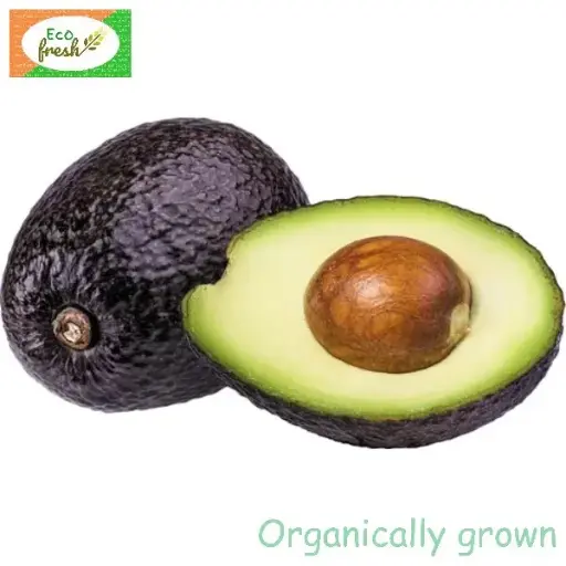 [Fruits] Avocado Organically Grown 