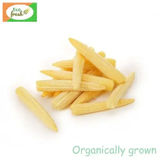 [Exotic] Baby Corn Organically Grown 
