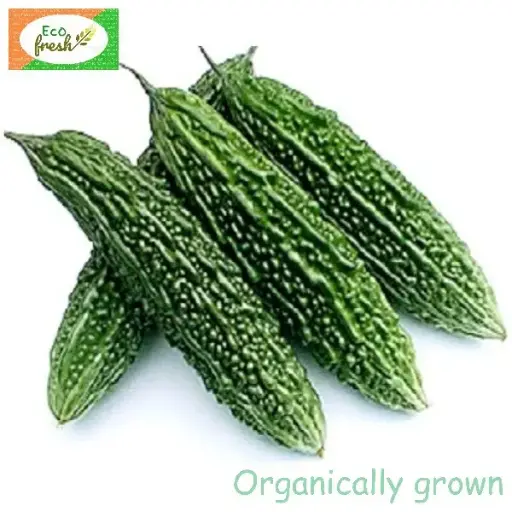[Vegetables] Bitter Gourd Large Organically Grown 