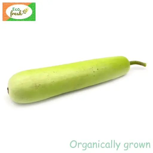 [Vegetables] Bottle Gourd Organically Grown 