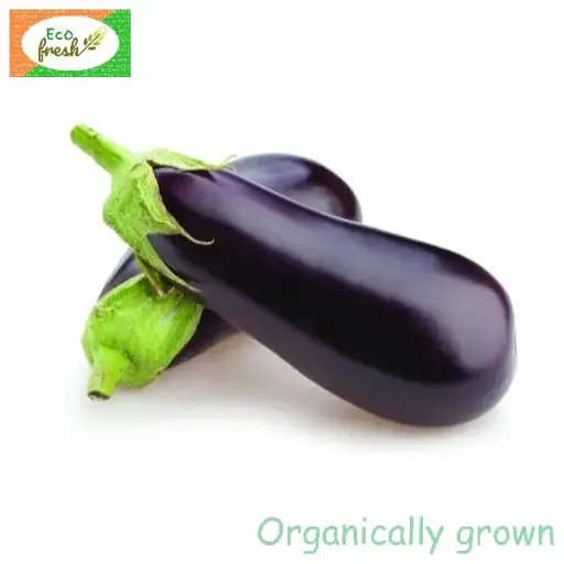 [Vegetables] Brinjal Big Organically Grown 