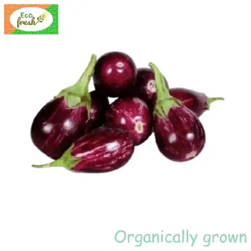 [Vegetables] Brinjal Small Organically Grown 