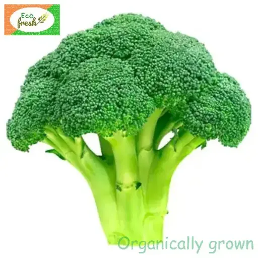 [Vegetables] BROCCOLI ORGANICALLY GROWN