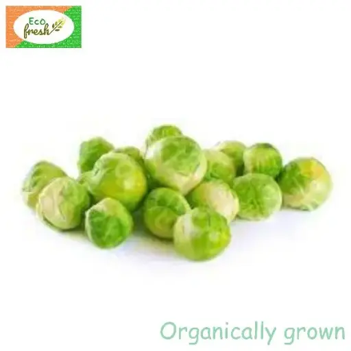 [Exotic] Brussel Sprouts Organically Grown