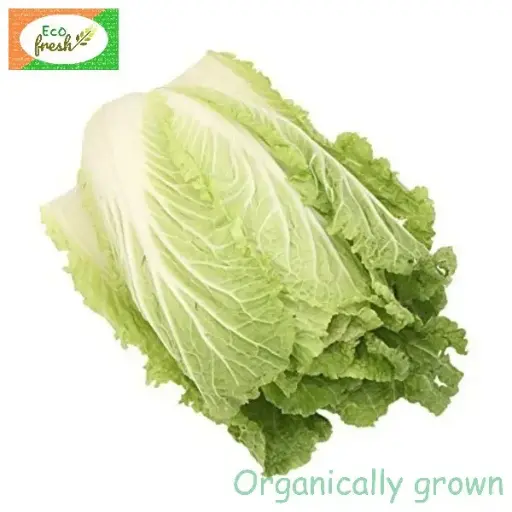 [Vegetables] Cabbage Chinese Organically Grown 