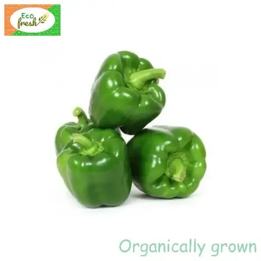 [Vegetables] Capsicum Green Organically Grown 