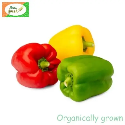 [Vegetables] Capsicum Mix Organically Grown 