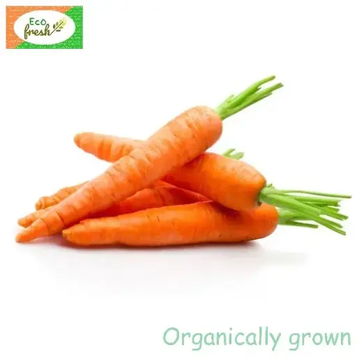 [Vegetables] Carrot Organically Grown 