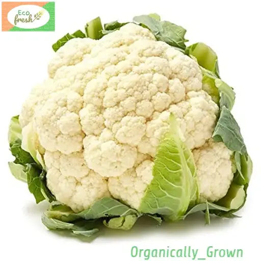 [Vegetables] Cauliflower Organically Grown 