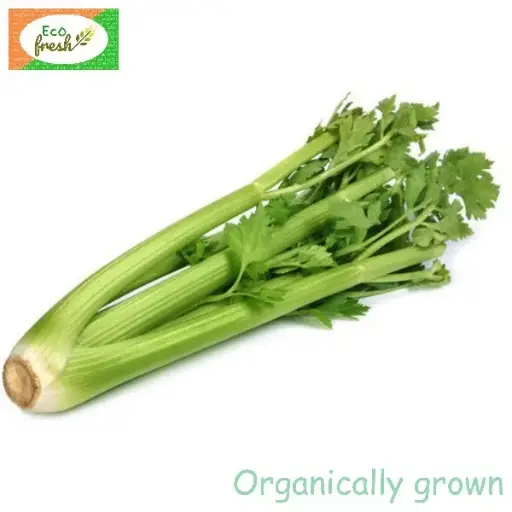 [Leafy Vegeatables] Celery Organically Grown 