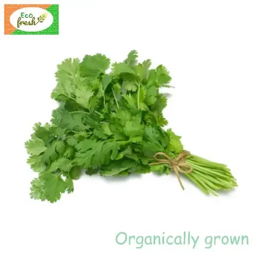 [Leafy Vegeatables] Coriander Leaves Organically Grown 