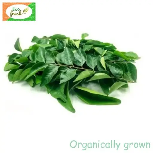 [Vegetables] Curry Leaves Organically Grown 