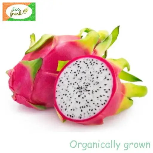 [Fruits] Dragonfruit White Organically Grown 