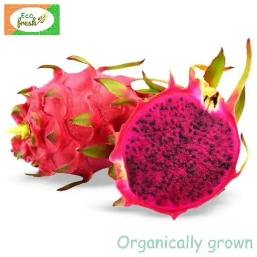 [Fruits] Dragonfruit Red Organically Grown 