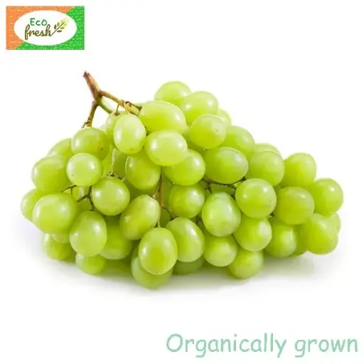 [Fruits] Grapes Green Organically Grown 
