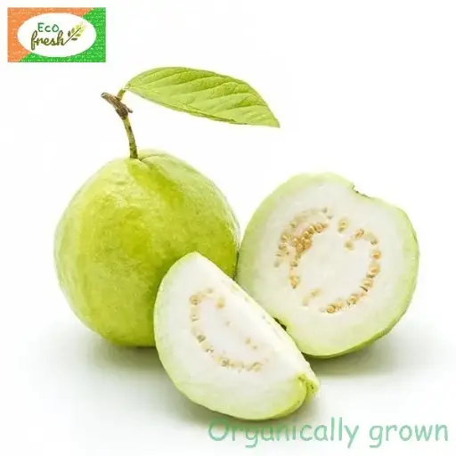 [Fruits] Guava Organically Grown 