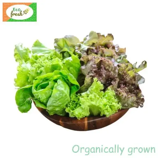 [Exotic] Lettuce Mix Organically Grown 