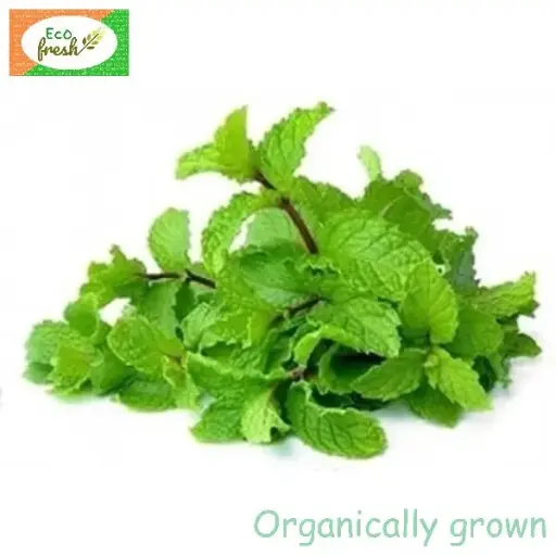 [Leafy Vegeatables] Mint Organically Grown 