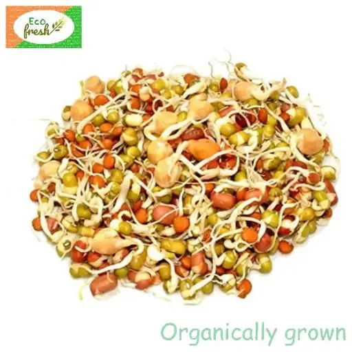 [Sprouts] Mixed Sprouts 