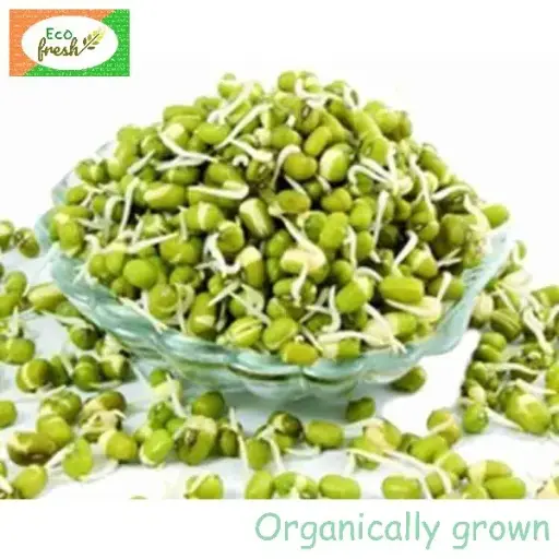 [Sprouts] Moong Sprouts 