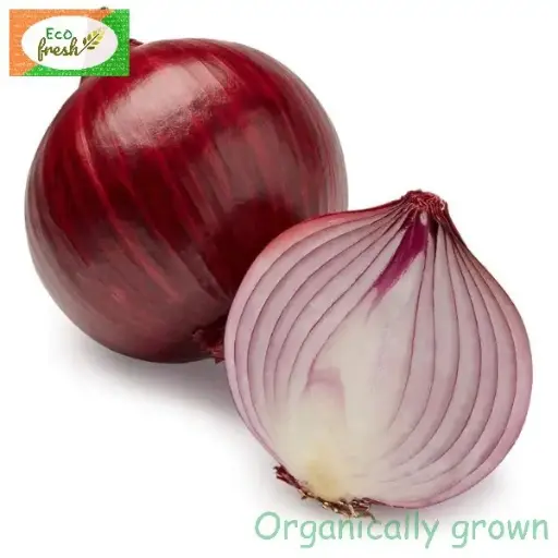 [Vegetables] Onion Organically Grown 