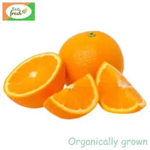 [Fruits] Orange Organically Grown (Mini Orange)