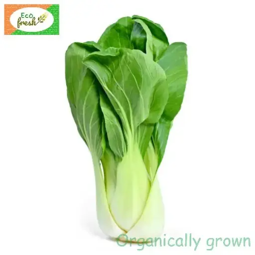 [Exotic] Pak Choi Organically Grown 