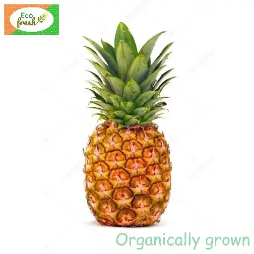 [Fruits] Pineapple Organically Grown 